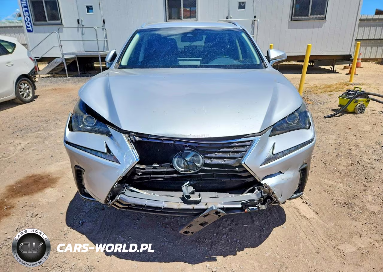 2019 Lexus Nx 300 Base VIN:JTJYARBZ0K2117128 - 5