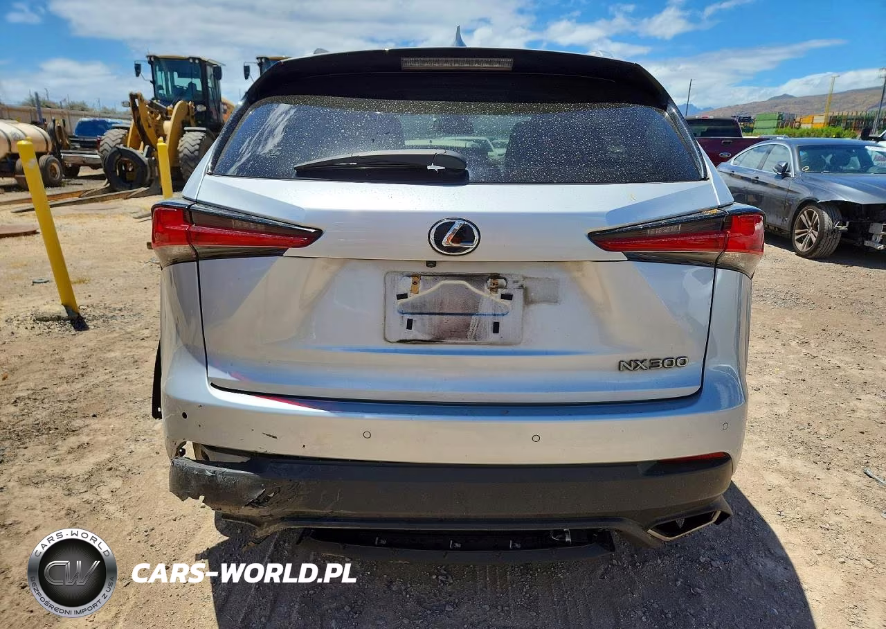2019 Lexus Nx 300 Base VIN:JTJYARBZ0K2117128 - 6