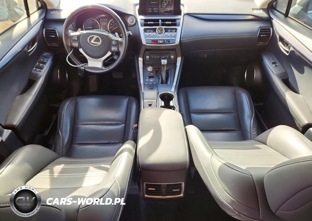 2019 Lexus Nx 300 Base VIN:JTJYARBZ0K2117128 - 8