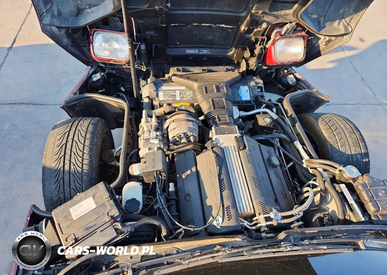 1993 Chevrolet Corvette VIN:1G1YY23P3P5115200 - 11