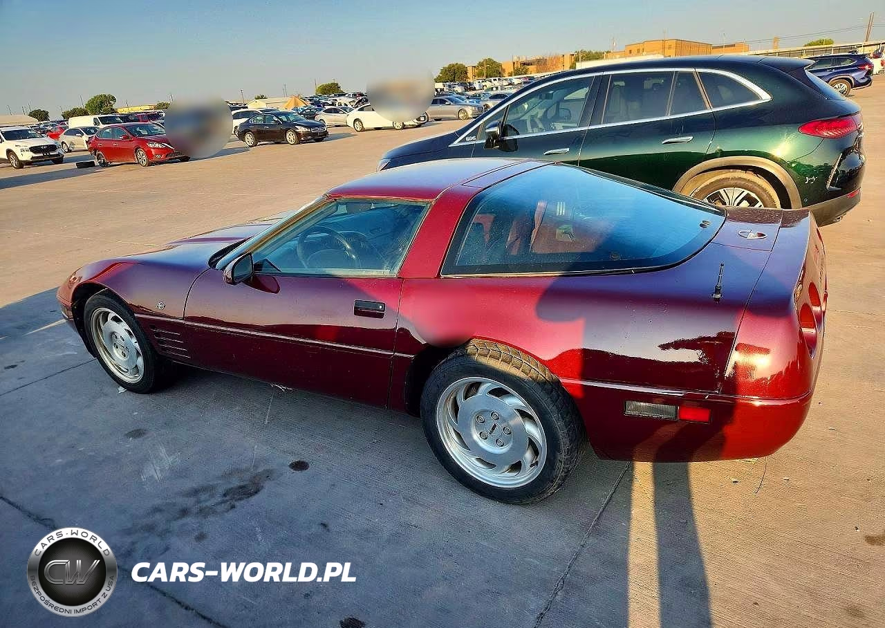 1993 Chevrolet Corvette VIN:1G1YY23P3P5115200 - 2