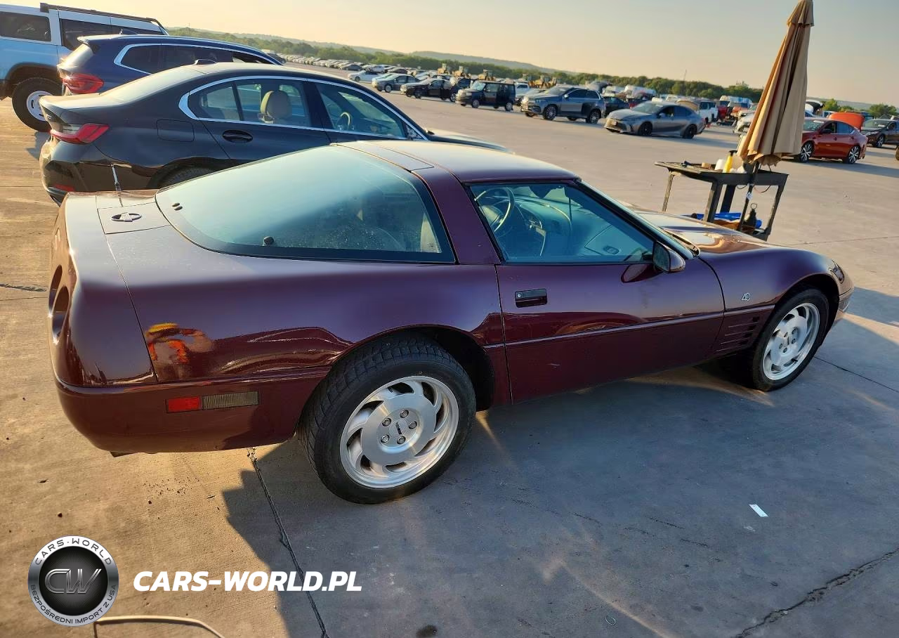 1993 Chevrolet Corvette VIN:1G1YY23P3P5115200 - 3