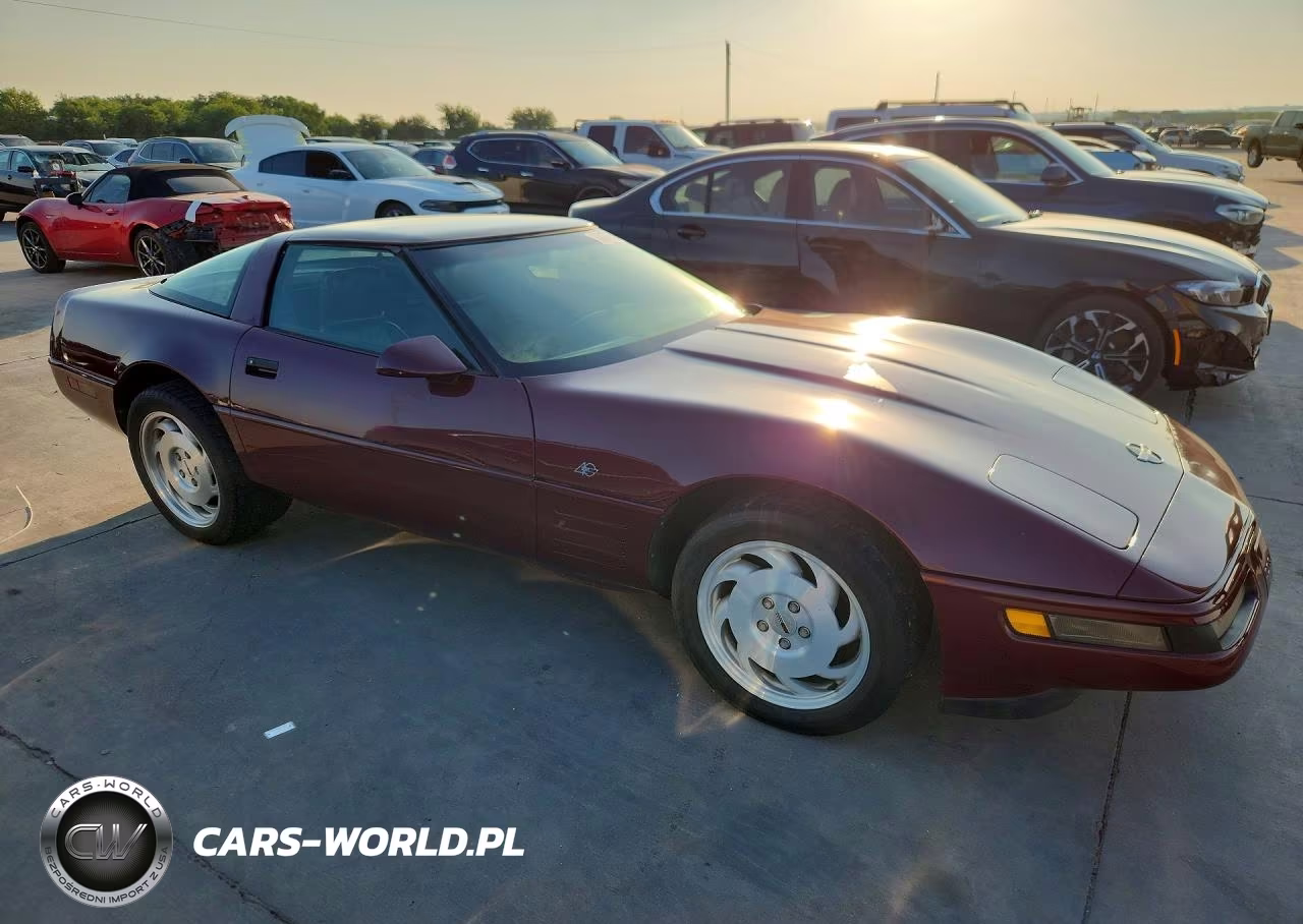 1993 Chevrolet Corvette VIN:1G1YY23P3P5115200 - 4
