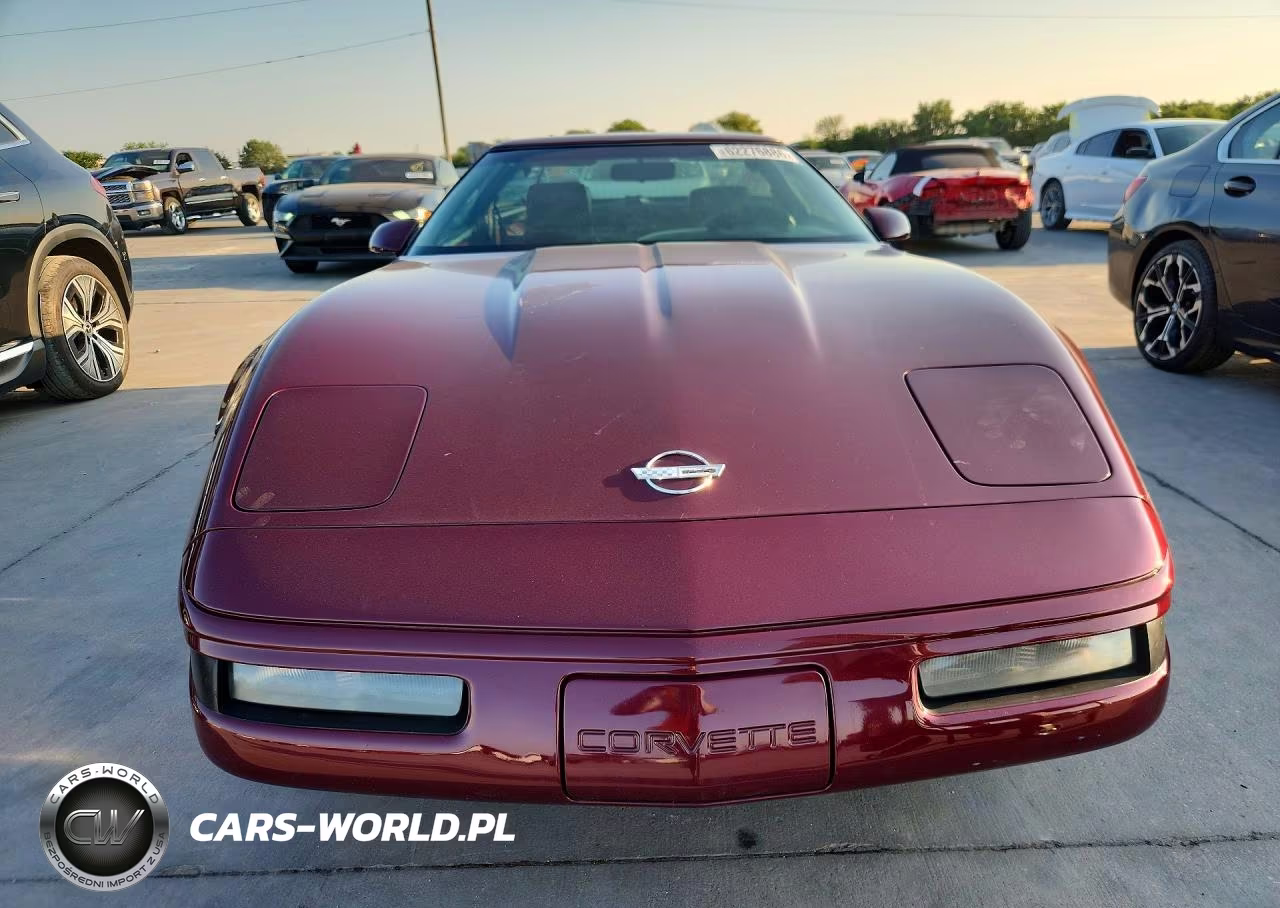 1993 Chevrolet Corvette VIN:1G1YY23P3P5115200 - 5