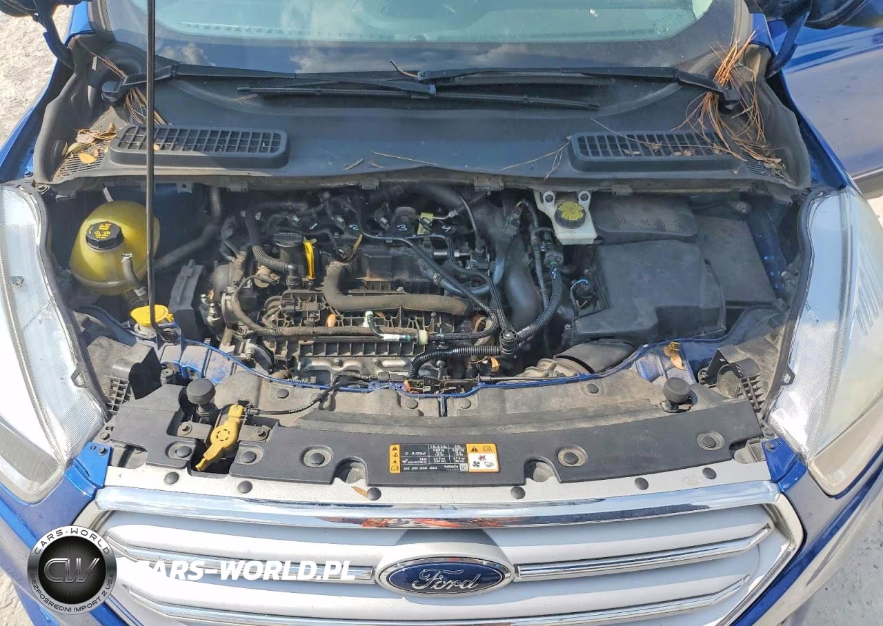 2019 Ford Escape Se VIN:1FMCU0GD0KUA64346 - 11