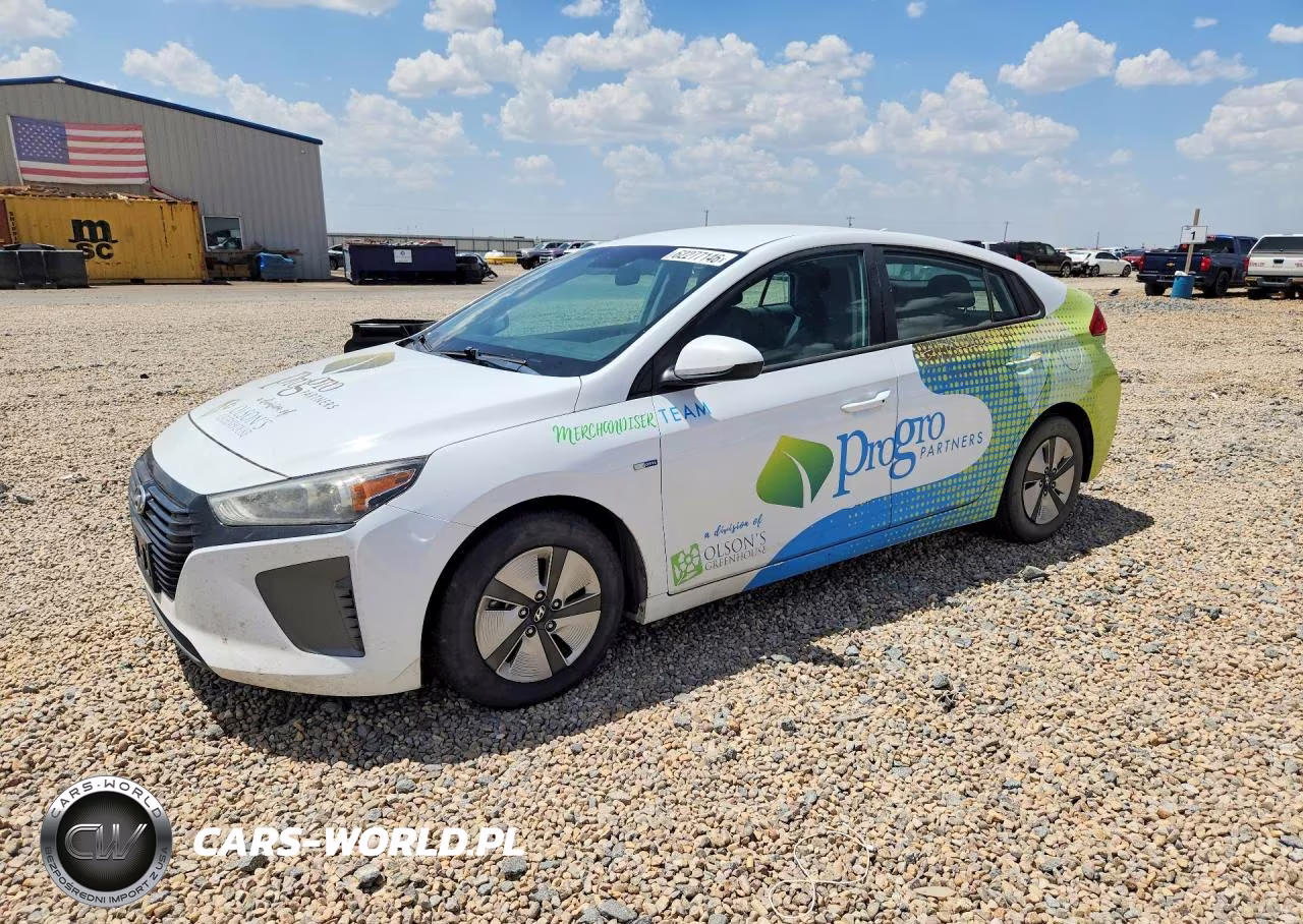 2019 Hyundai Ioniq Blue – zdjęcie 1 z 12