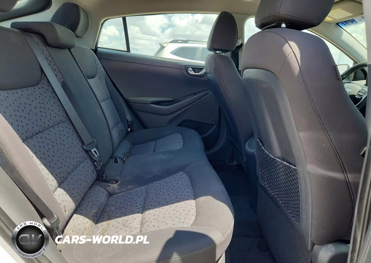2019 Hyundai Ioniq Blue VIN:KMHC65LC0KU136747 - 10