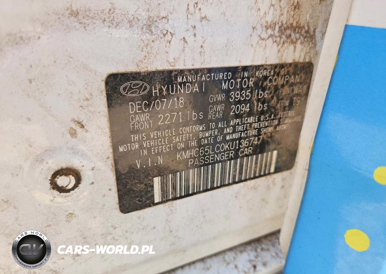 2019 Hyundai Ioniq Blue VIN:KMHC65LC0KU136747 - 12