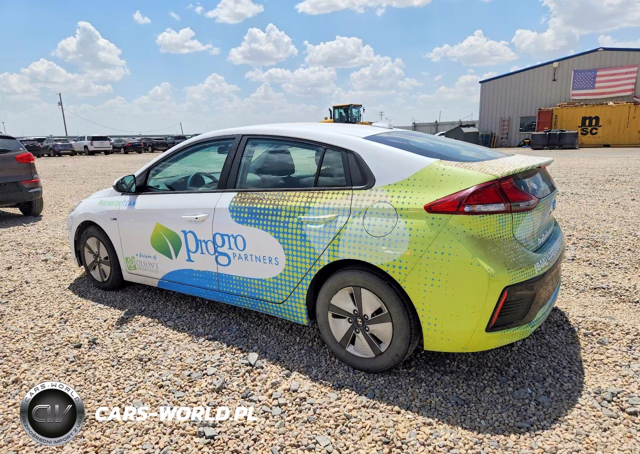 2019 Hyundai Ioniq Blue VIN:KMHC65LC0KU136747 - 2