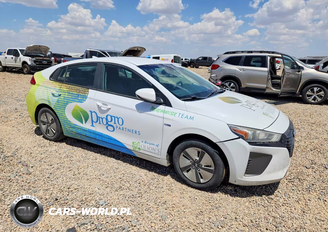 2019 Hyundai Ioniq Blue VIN:KMHC65LC0KU136747 - 4