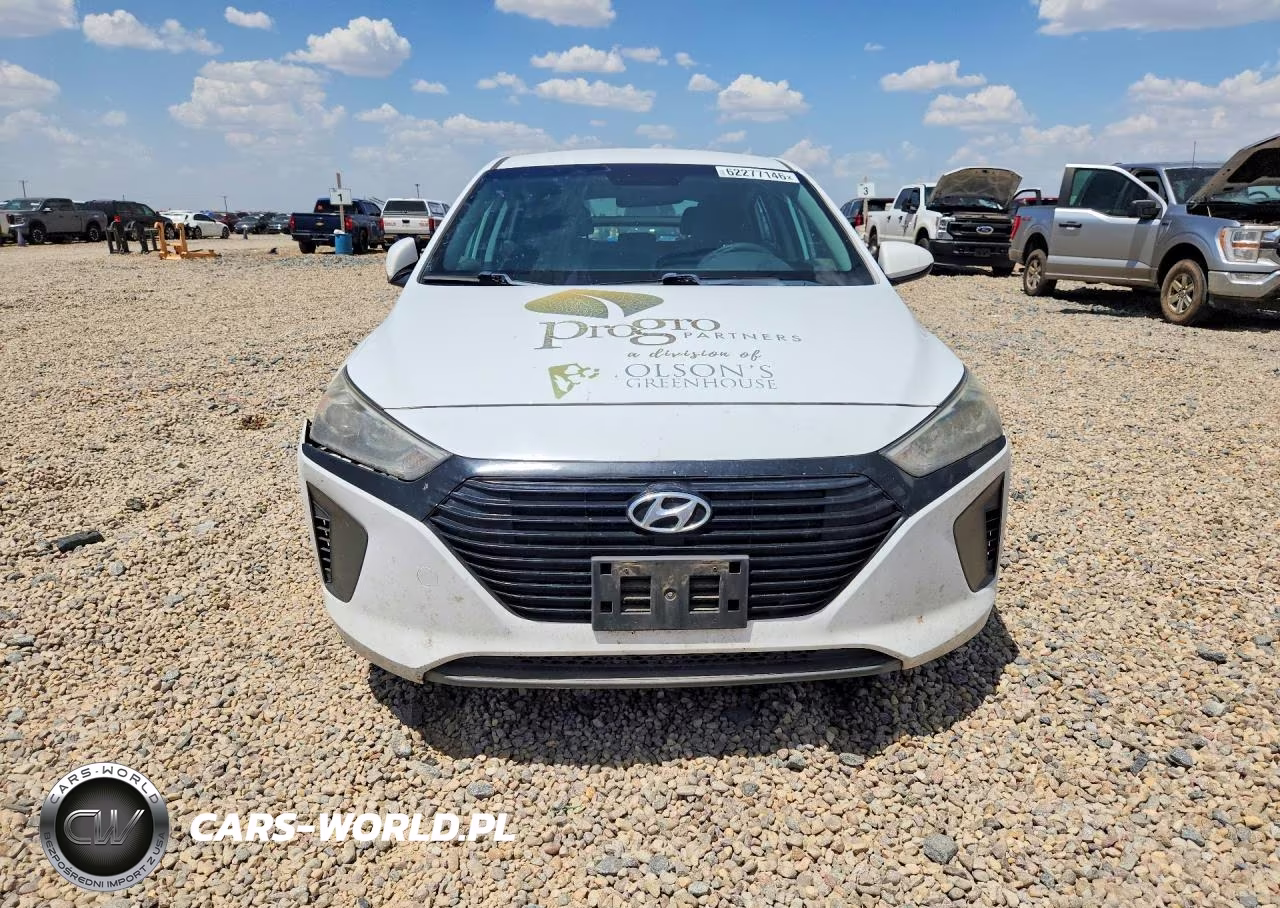 2019 Hyundai Ioniq Blue VIN:KMHC65LC0KU136747 - 5