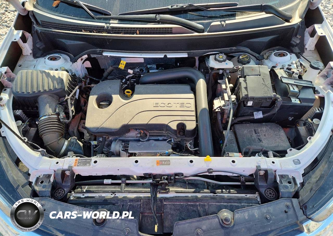 2024 Chevrolet Equinox Lt VIN:3GNAXUEG5RS238629 - 11
