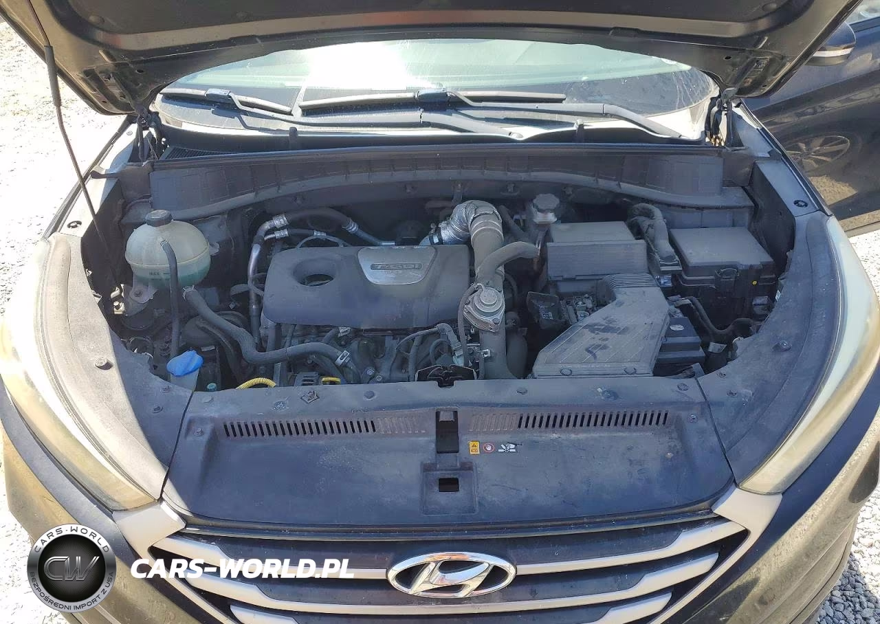 2017 Hyundai Tucson Eco VIN:KM8J3CA2XHU289952 - 12