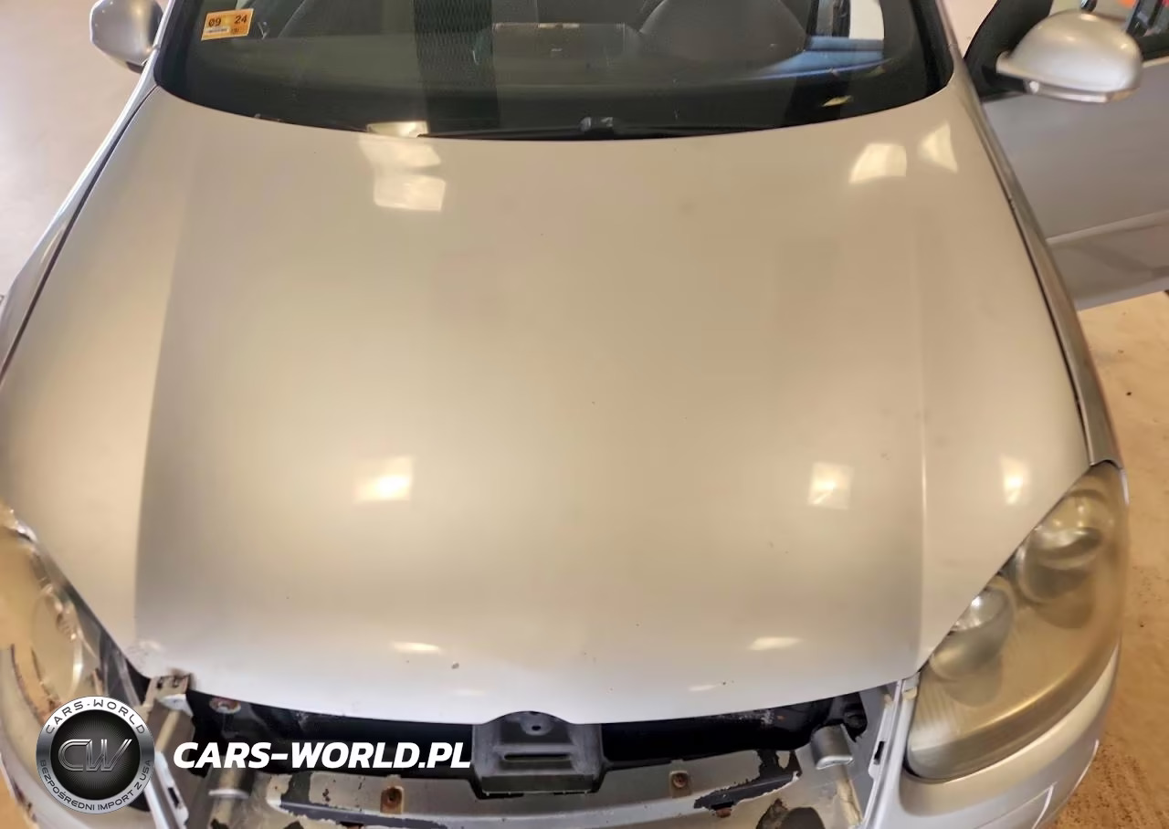 2007 Volkswagen New Gti VIN:WVWGV71K77W041659 - 11