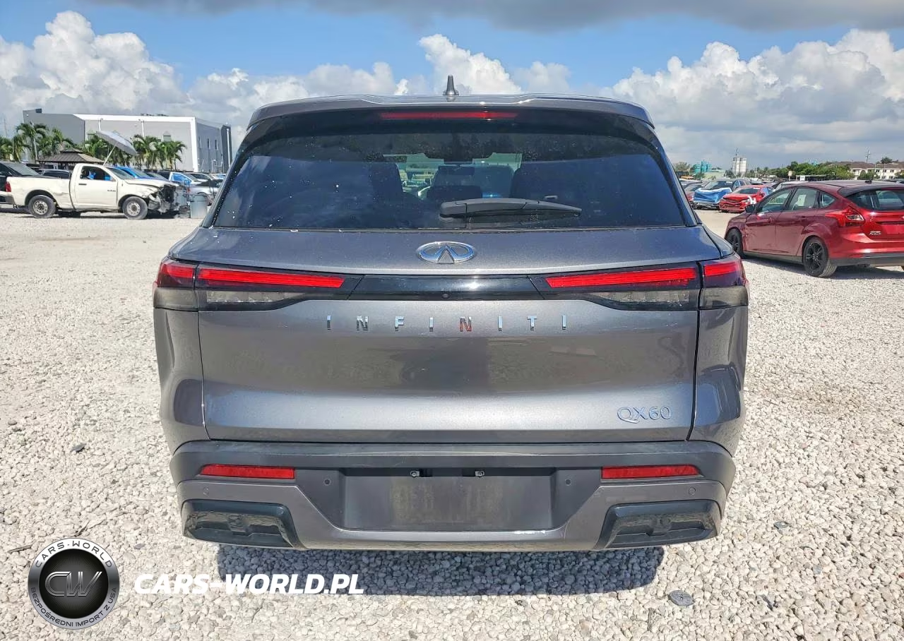 2024 Infiniti Qx60 Pure VIN:5N1DL1ERXRC351916 - 6