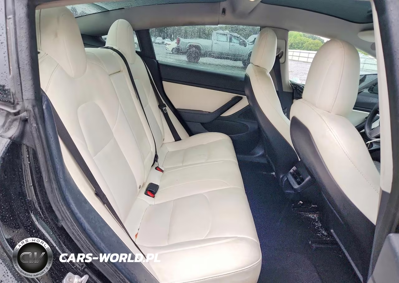 2021 Tesla Model 3 VIN:5YJ3E1EA2MF915994 - 10