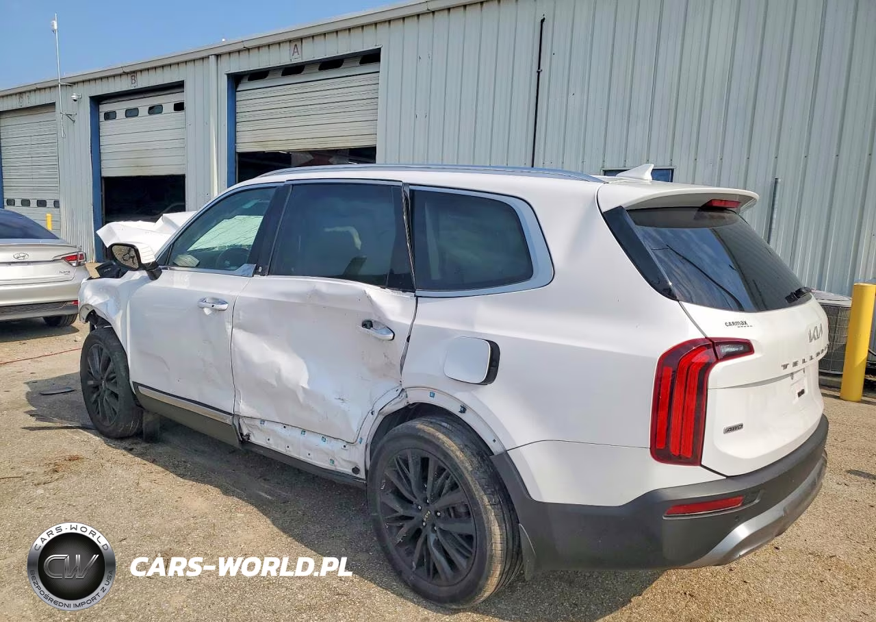 2022 Kia Telluride Sx VIN:5XYP5DHC7NG205225 - 2