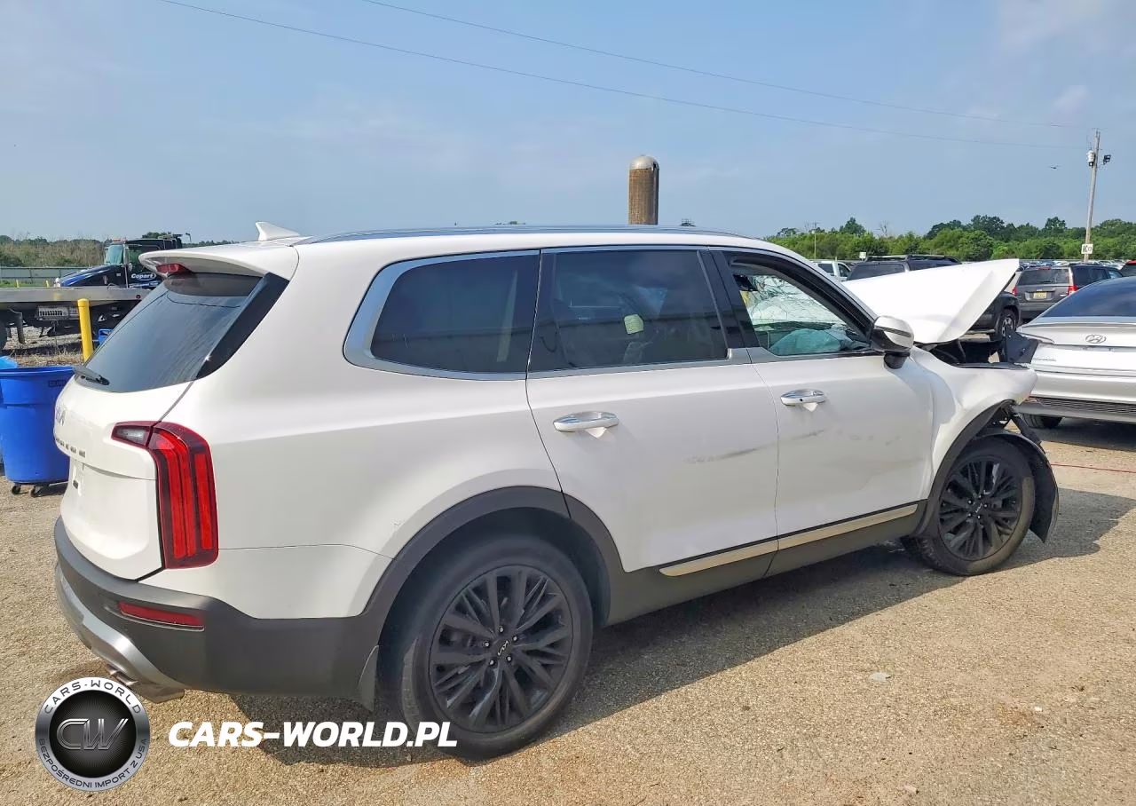 2022 Kia Telluride Sx VIN:5XYP5DHC7NG205225 - 3