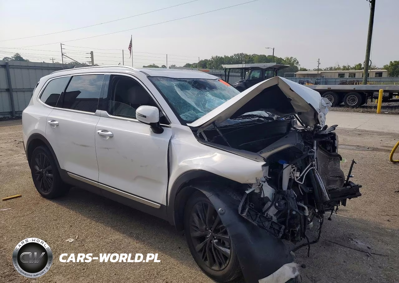 2022 Kia Telluride Sx VIN:5XYP5DHC7NG205225 - 4