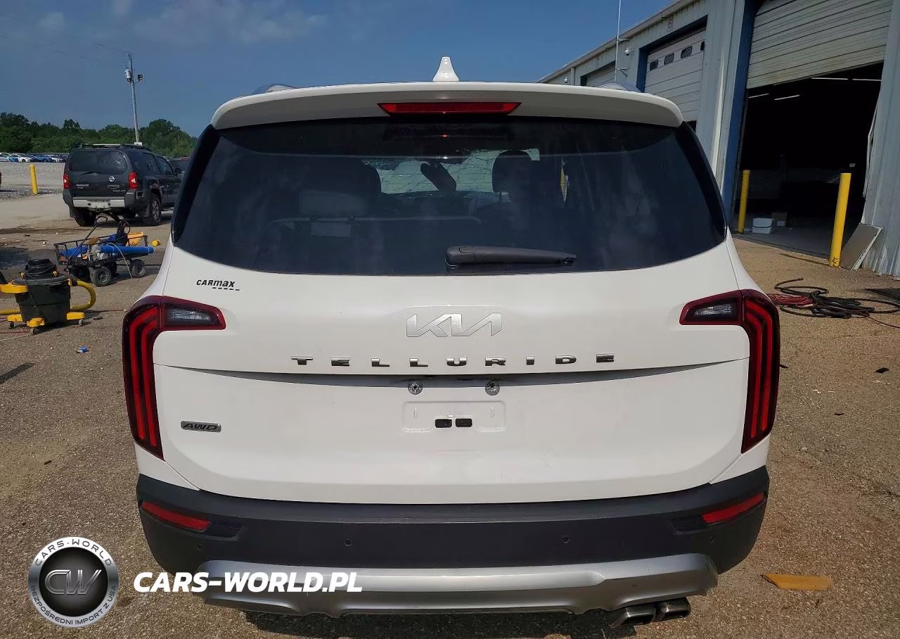 2022 Kia Telluride Sx VIN:5XYP5DHC7NG205225 - 6