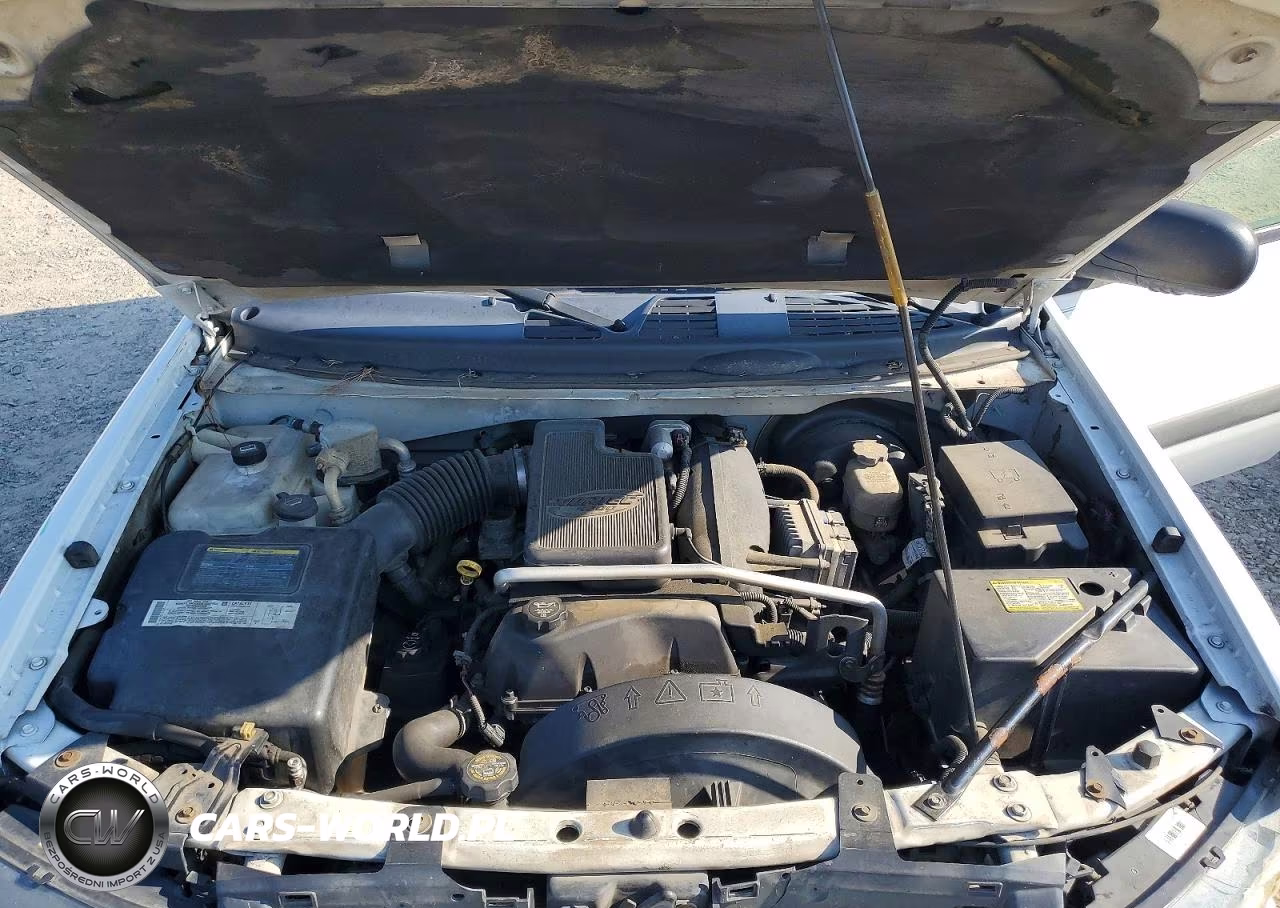 2004 Chevrolet Trailblazer Ls VIN:1GNDS13S342151172 - 12