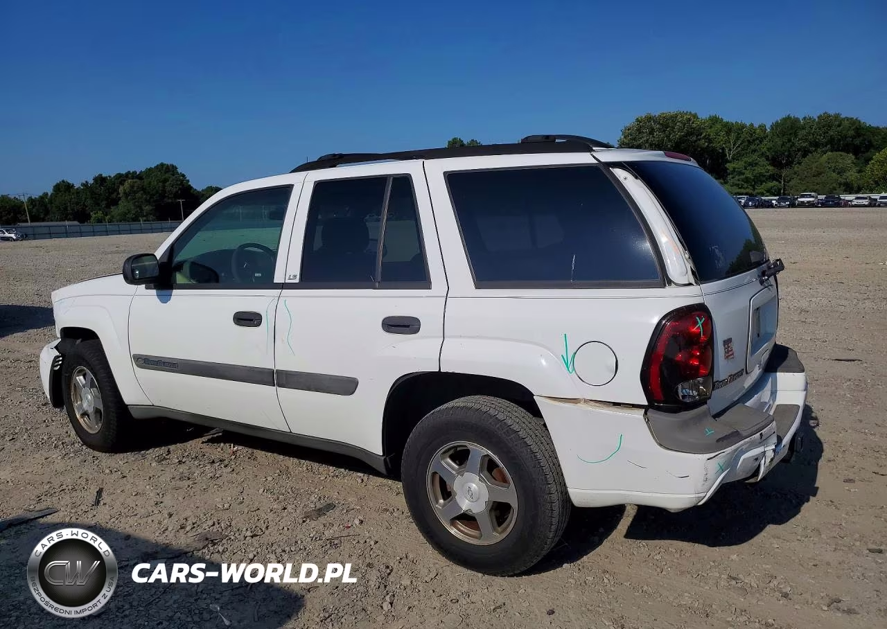 2004 Chevrolet Trailblazer Ls VIN:1GNDS13S342151172 - 2