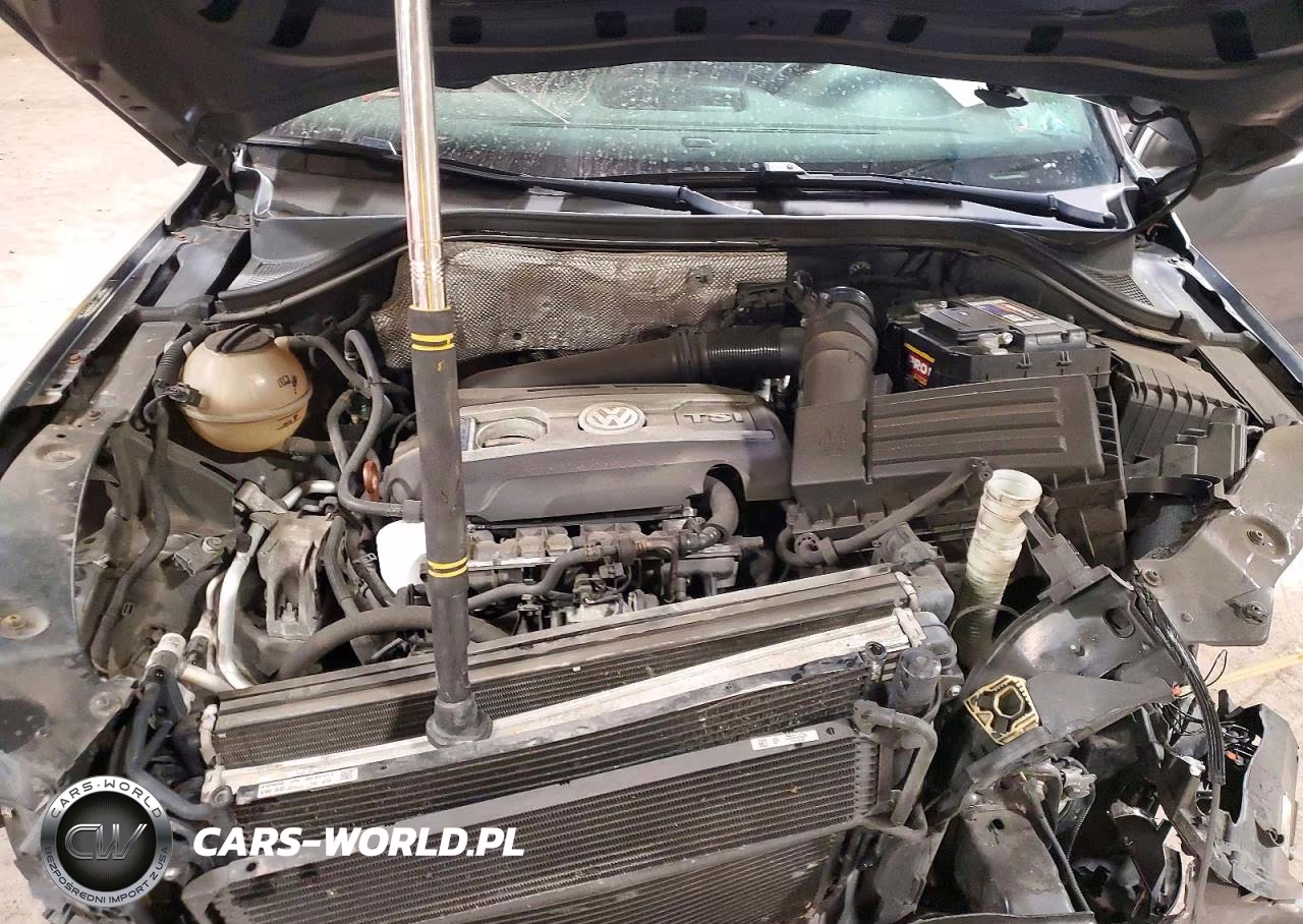 2013 Volkswagen Tiguan S VIN:WVGAV3AX7DW592613 - 12