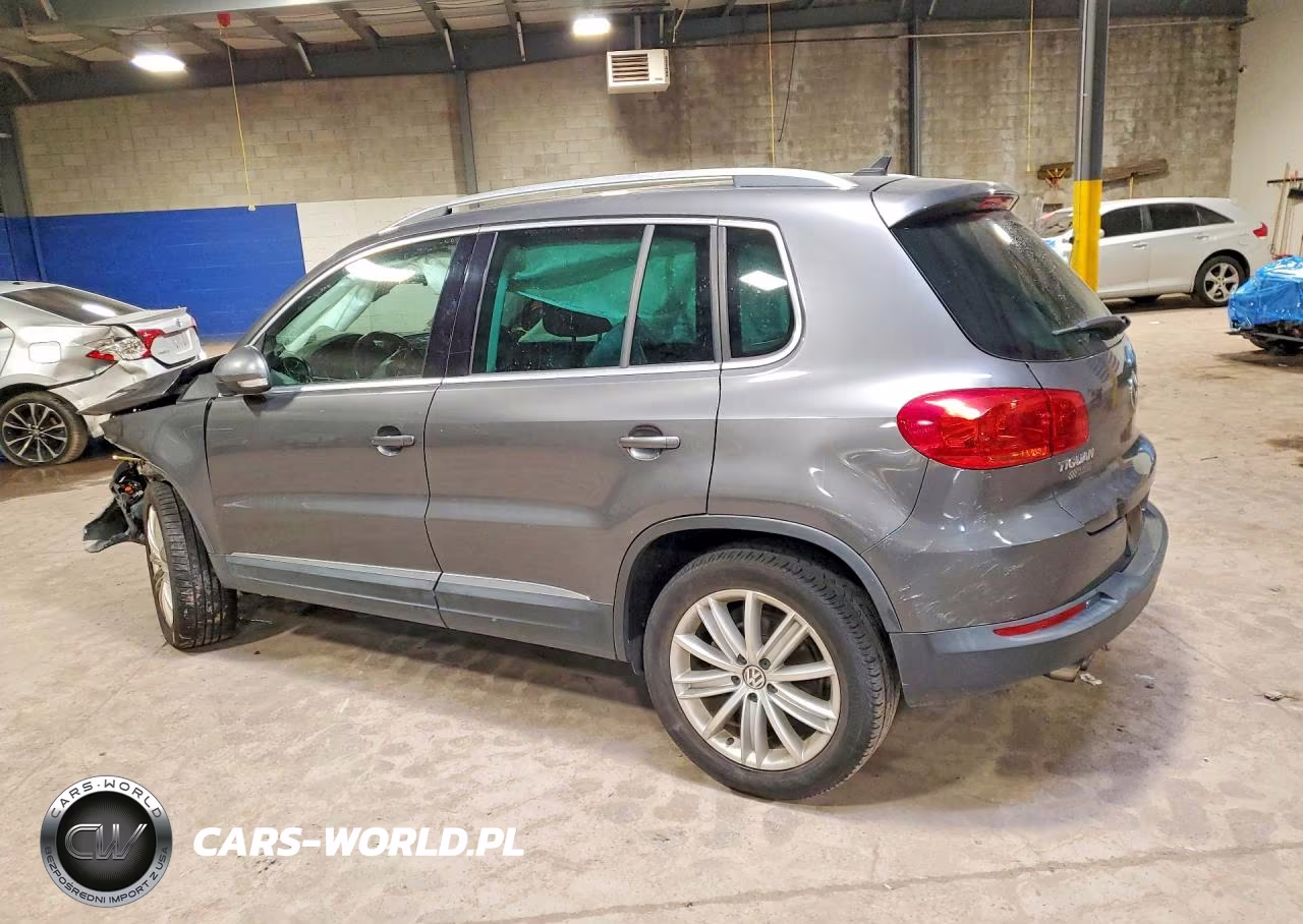 2013 Volkswagen Tiguan S VIN:WVGAV3AX7DW592613 - 2
