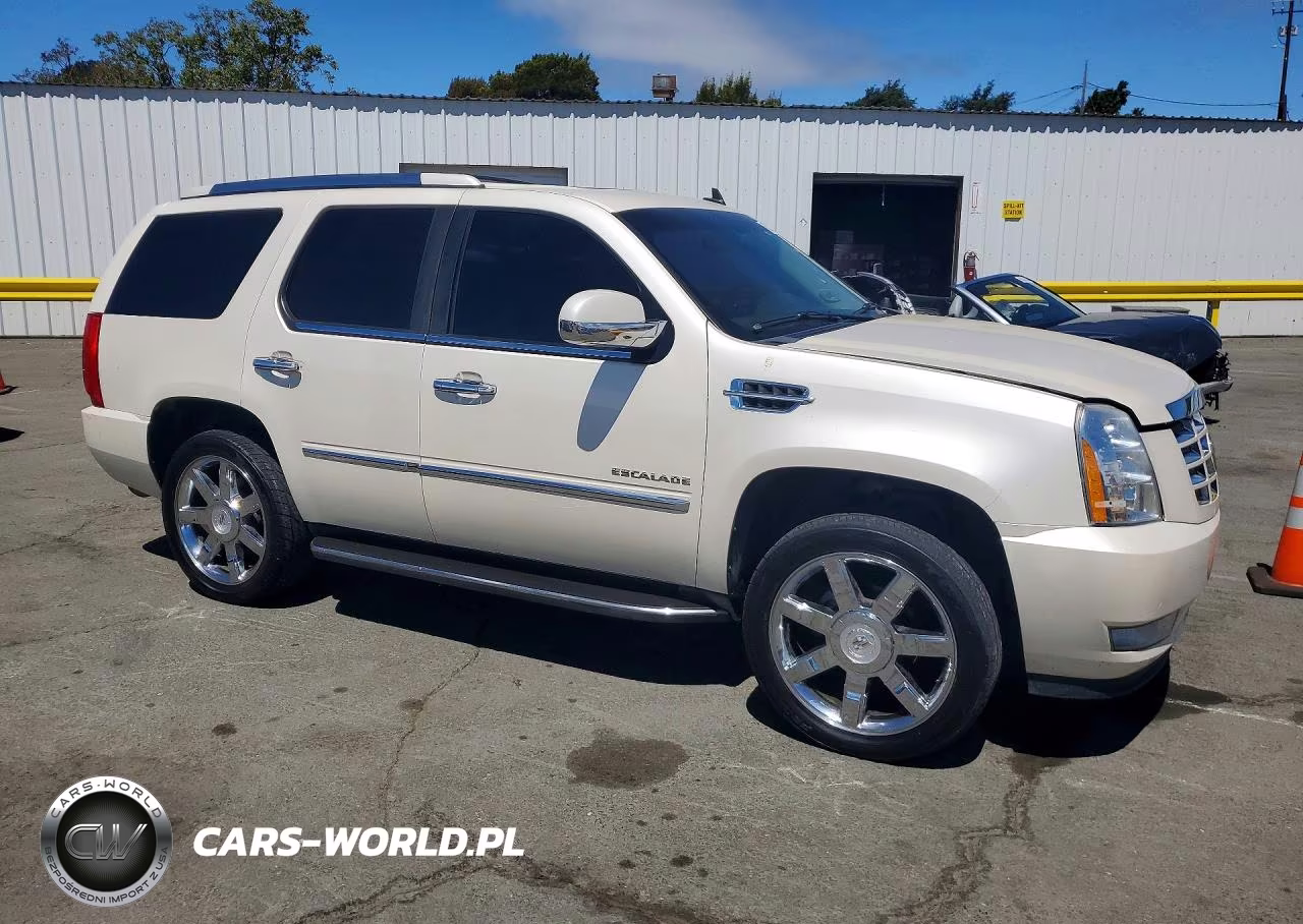 2011 Cadillac Escalade Luxury VIN:1GYS4BEF7BR254979 - 4