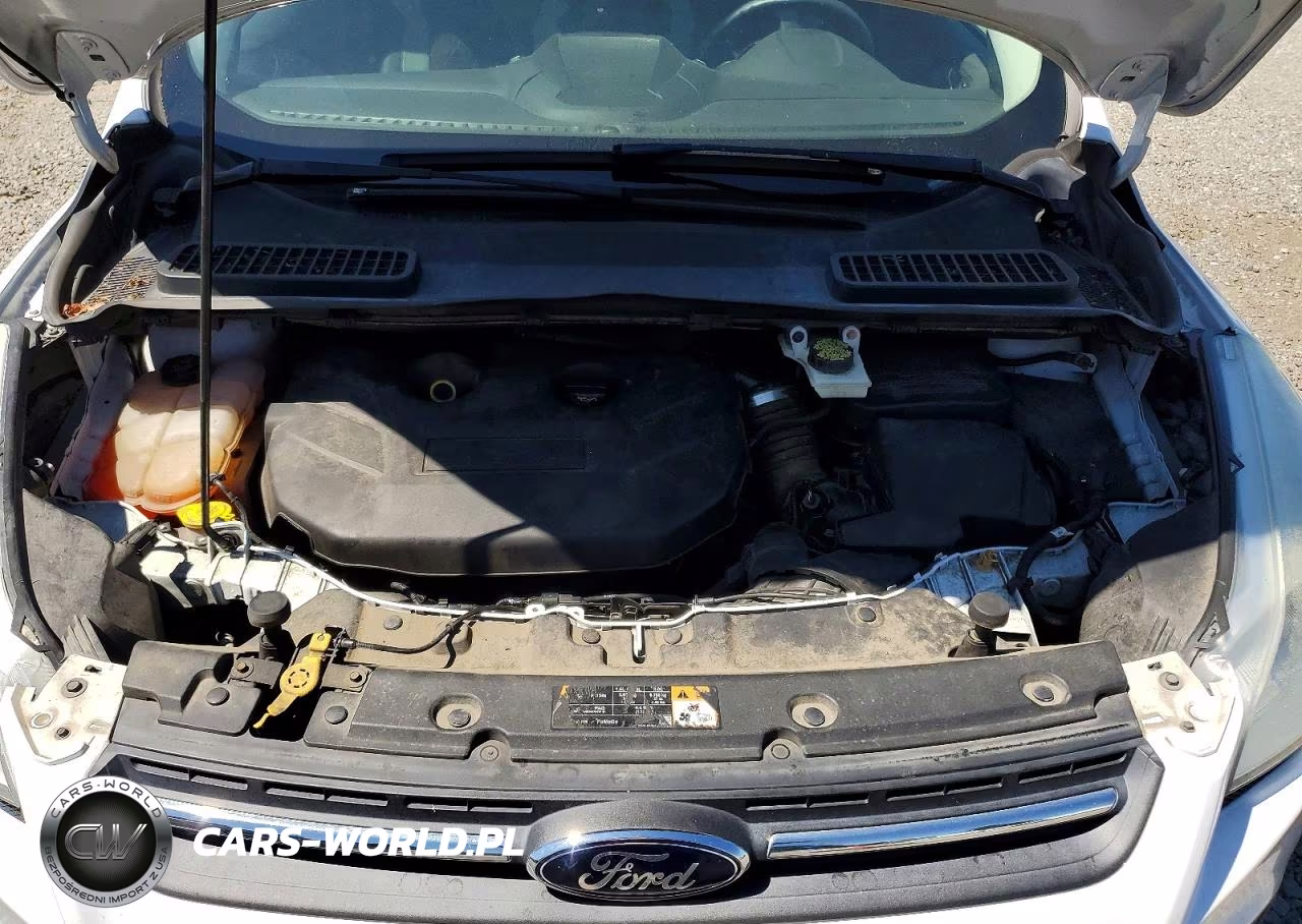 2014 Ford Escape Se VIN:1FMCU9G94EUC54302 - 12