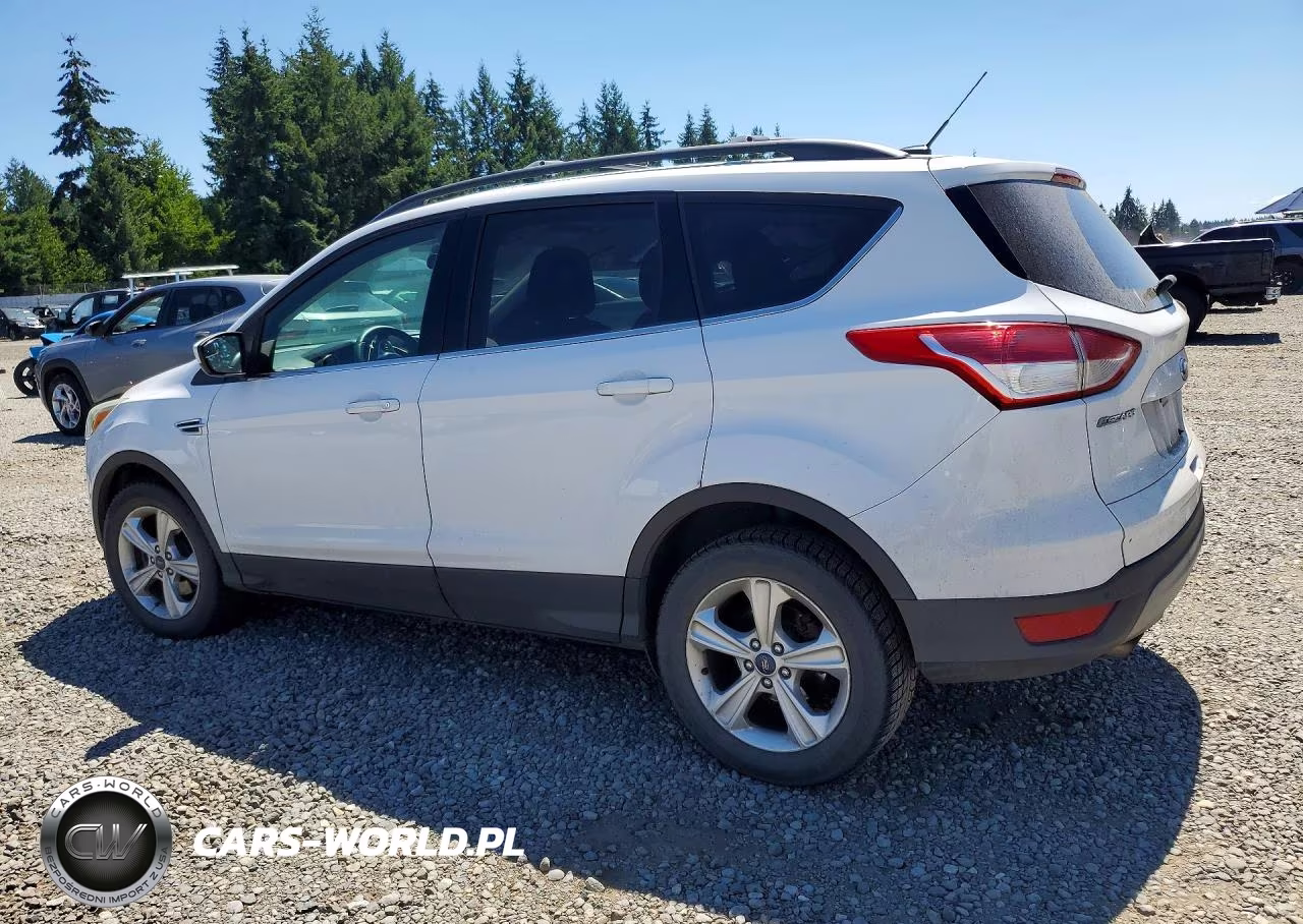 2014 Ford Escape Se VIN:1FMCU9G94EUC54302 - 2