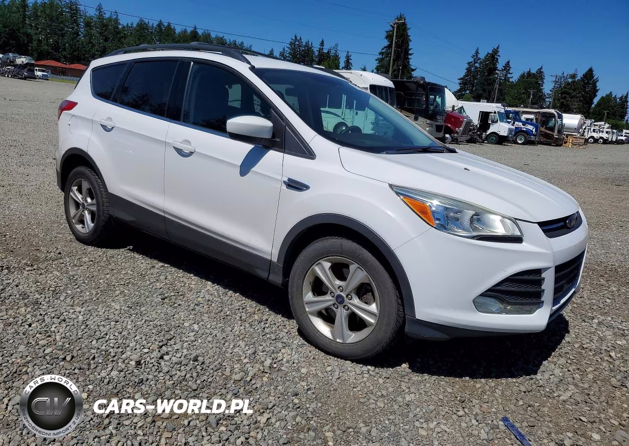 2014 Ford Escape Se VIN:1FMCU9G94EUC54302 - 4
