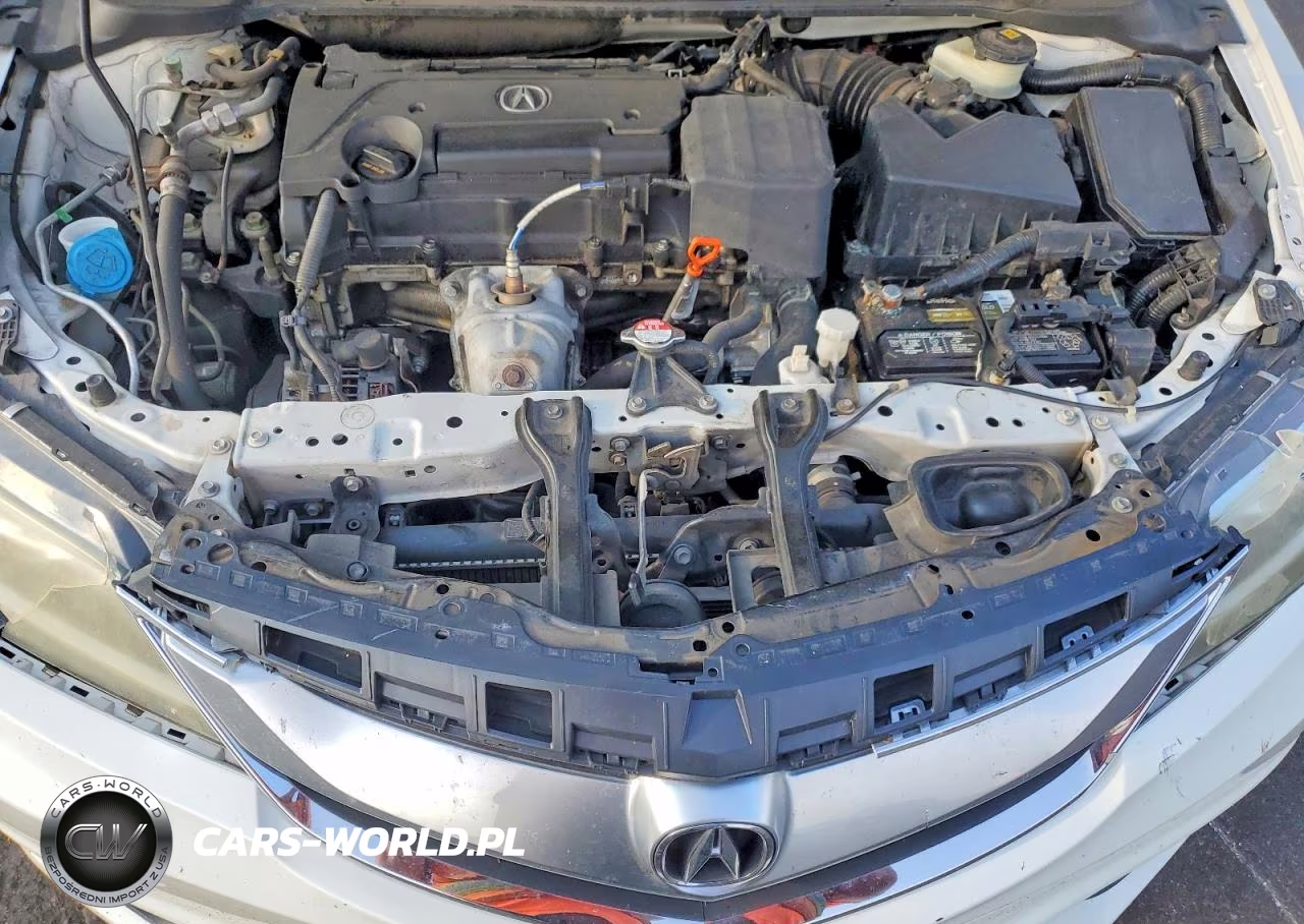 2018 Acura Ilx Premium VIN:19UDE2F75JA005811 - 11