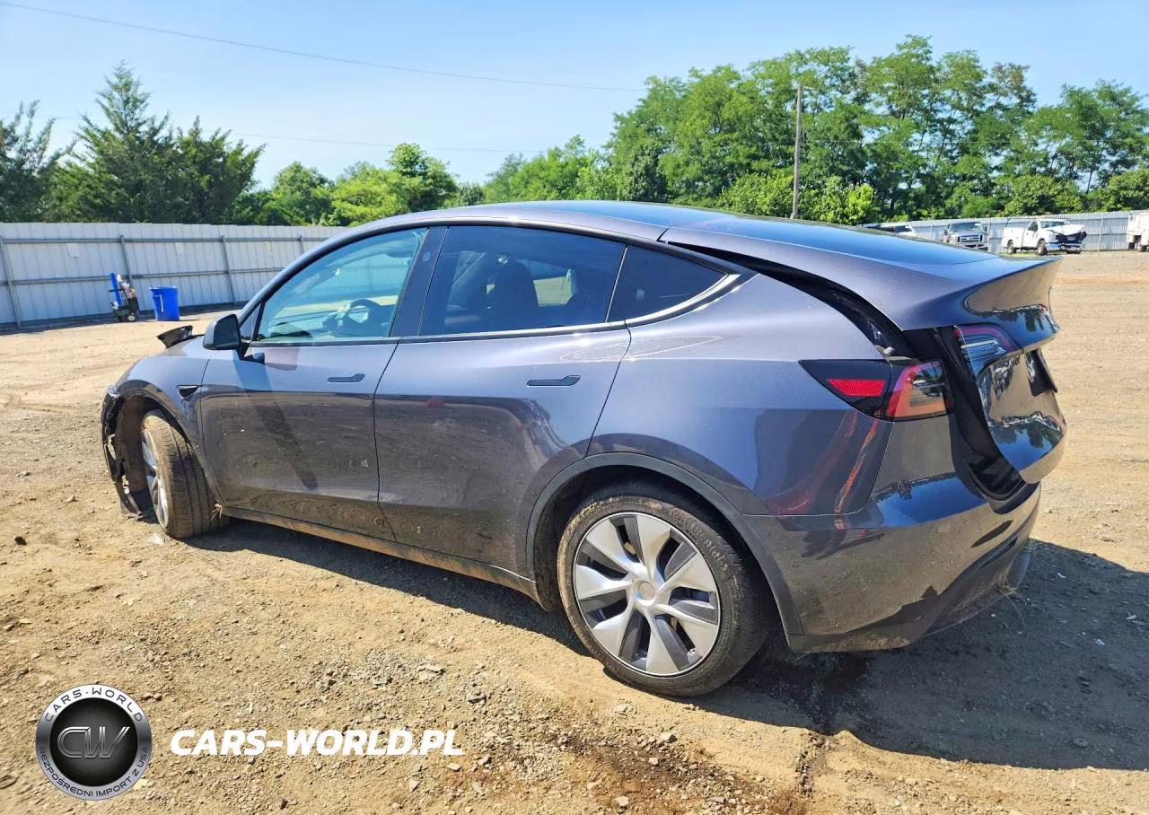 2023 Tesla Model Y VIN:7SAYGDED0PF923451 - 2