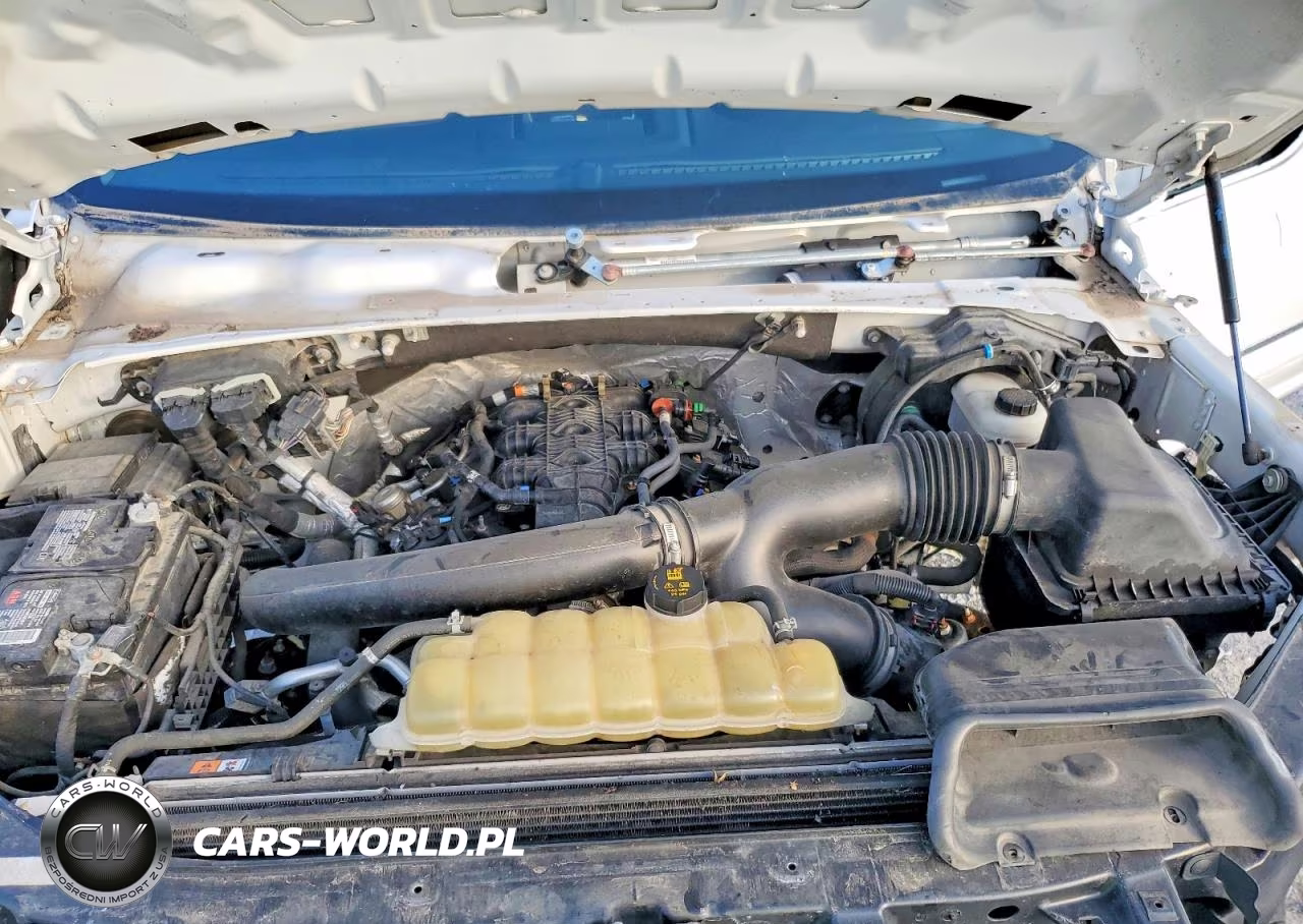 2019 Ford F150 Supercrew VIN:1FTFW1E46KKD78941 - 11