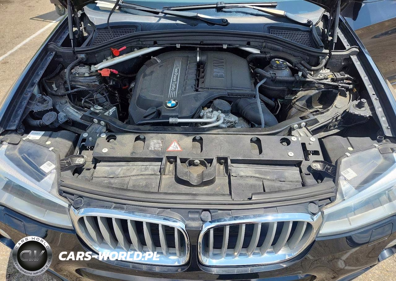 2016 BMW X4 xDrive35I VIN:5UXXW5C5XG0N92775 - 12