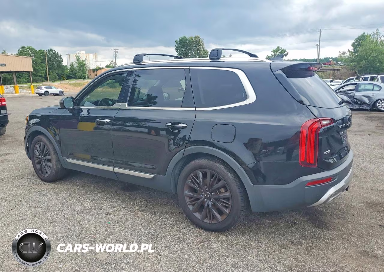 2020 Kia Telluride Sx VIN:5XYP5DHC9LG027881 - 2