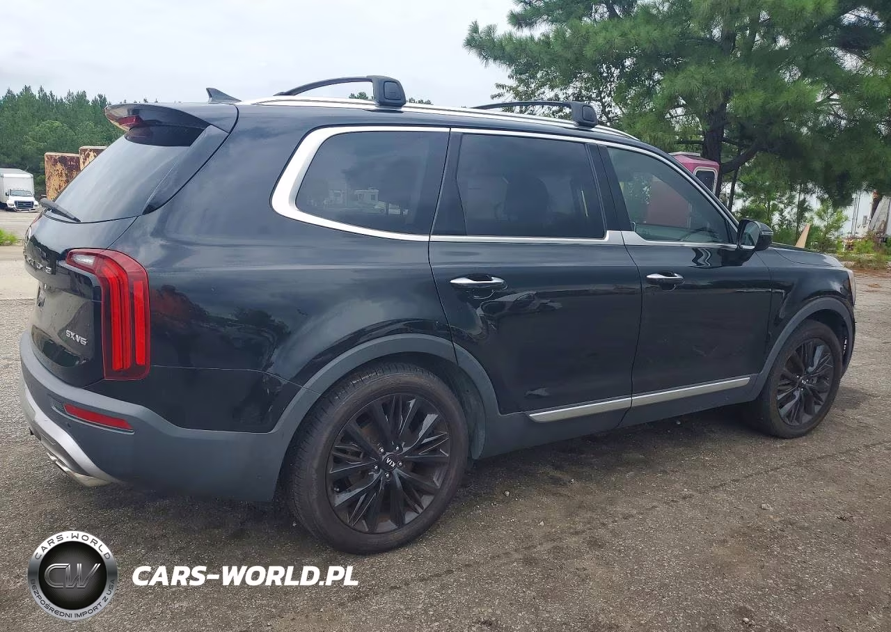 2020 Kia Telluride Sx VIN:5XYP5DHC9LG027881 - 3