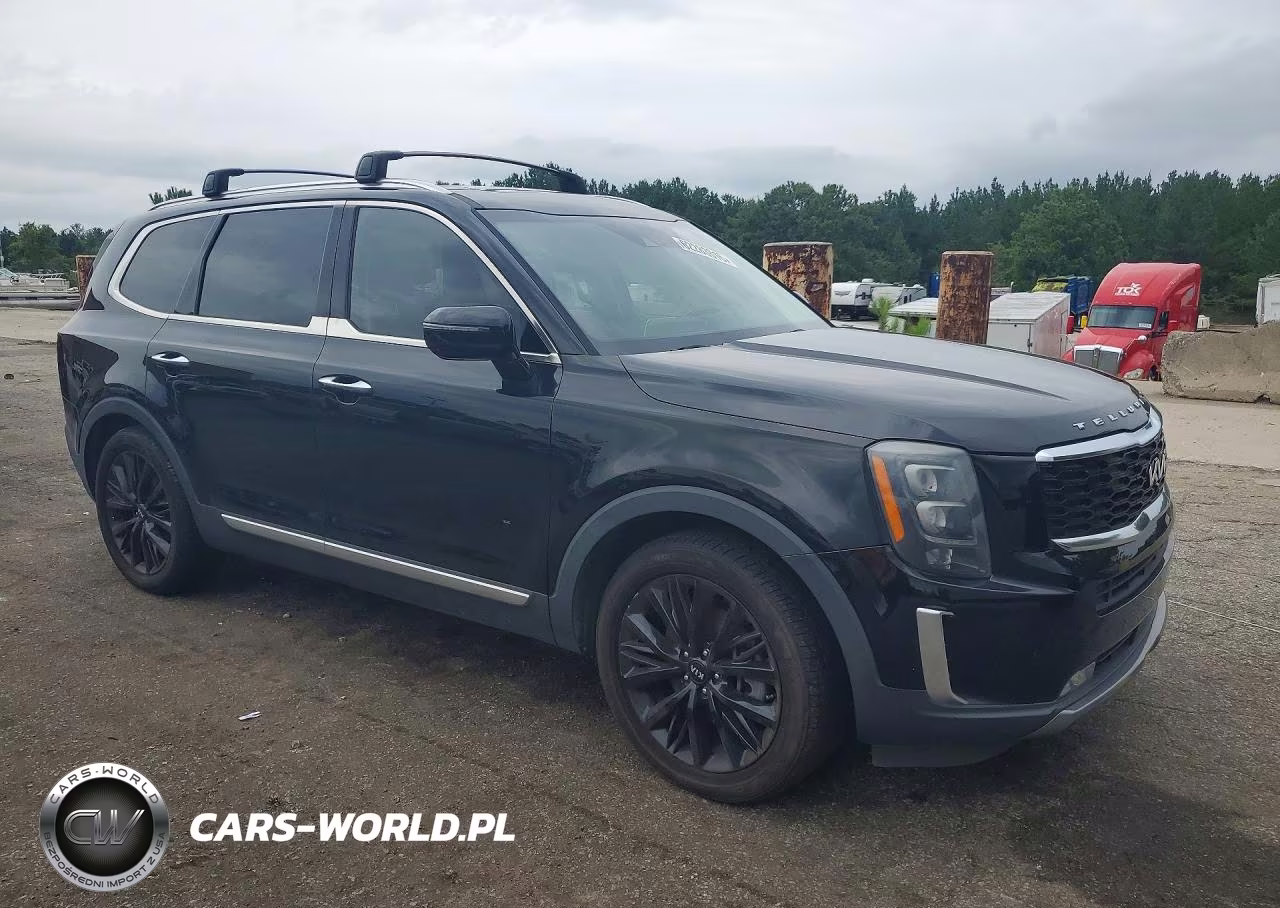2020 Kia Telluride Sx VIN:5XYP5DHC9LG027881 - 4
