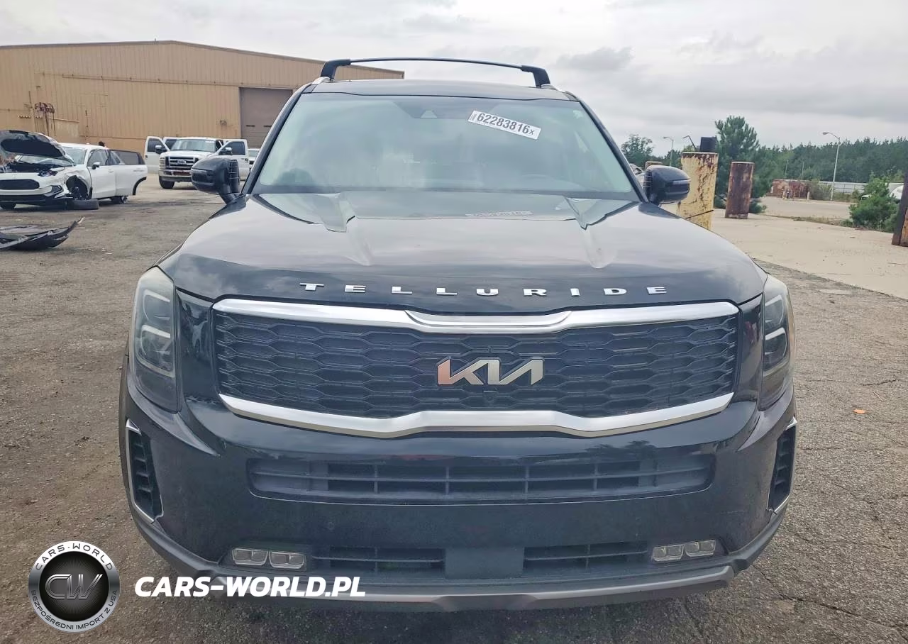 2020 Kia Telluride Sx VIN:5XYP5DHC9LG027881 - 5