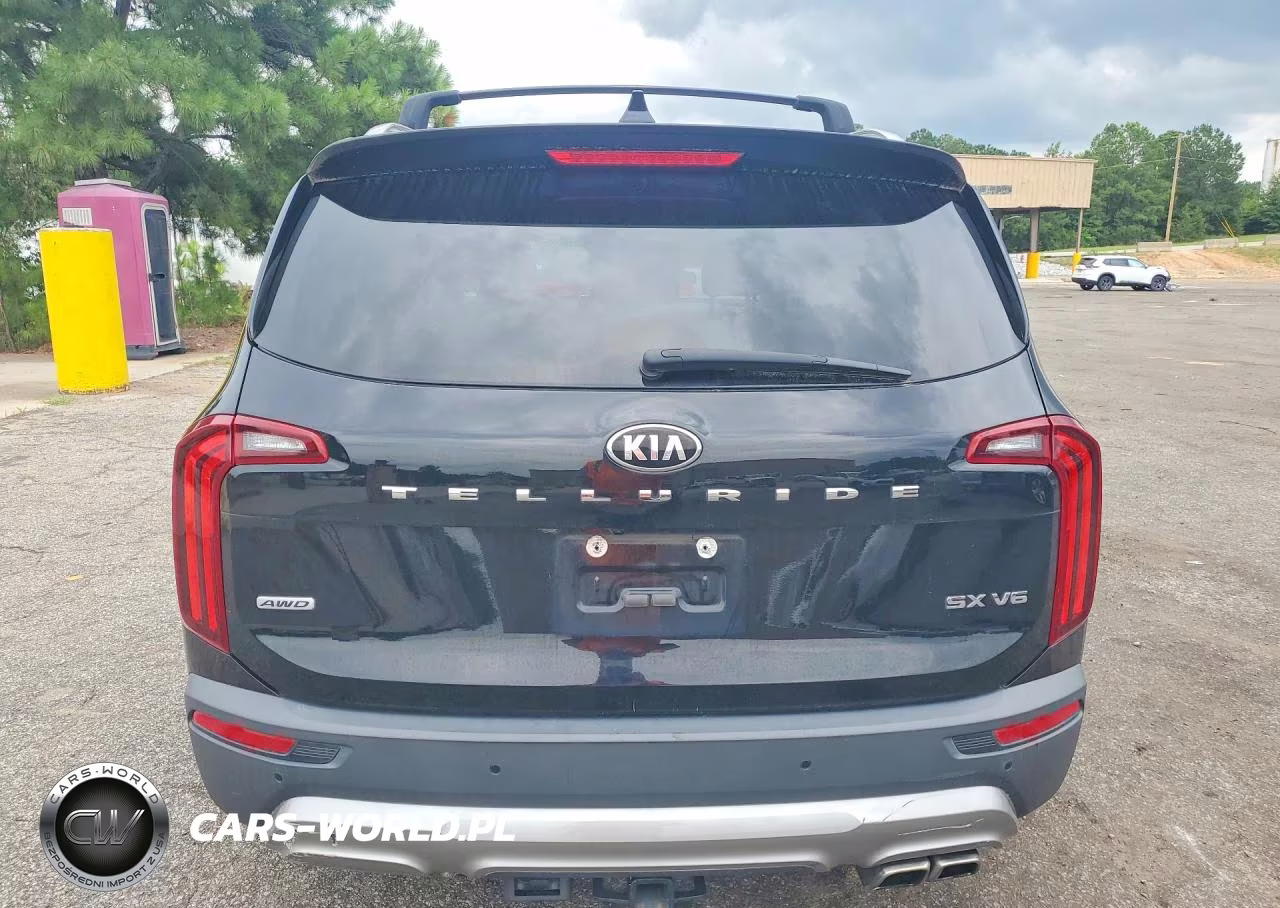 2020 Kia Telluride Sx VIN:5XYP5DHC9LG027881 - 6
