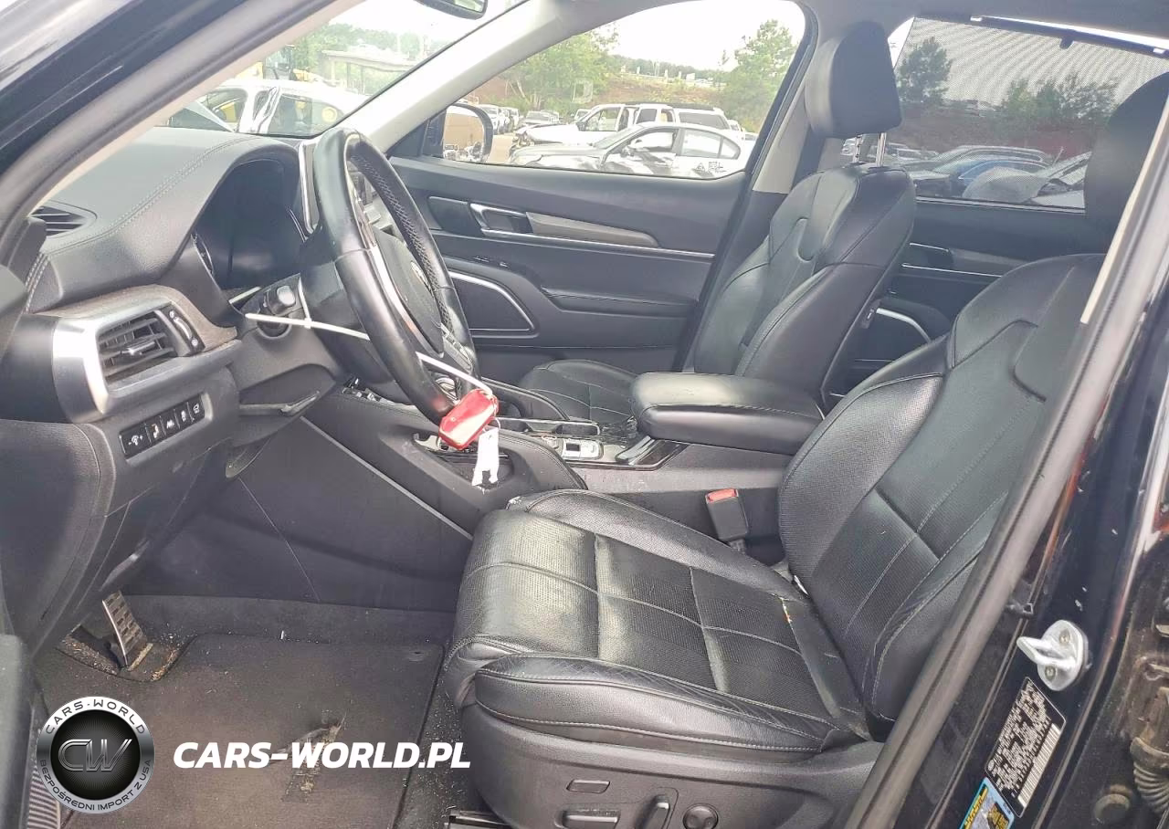 2020 Kia Telluride Sx VIN:5XYP5DHC9LG027881 - 7
