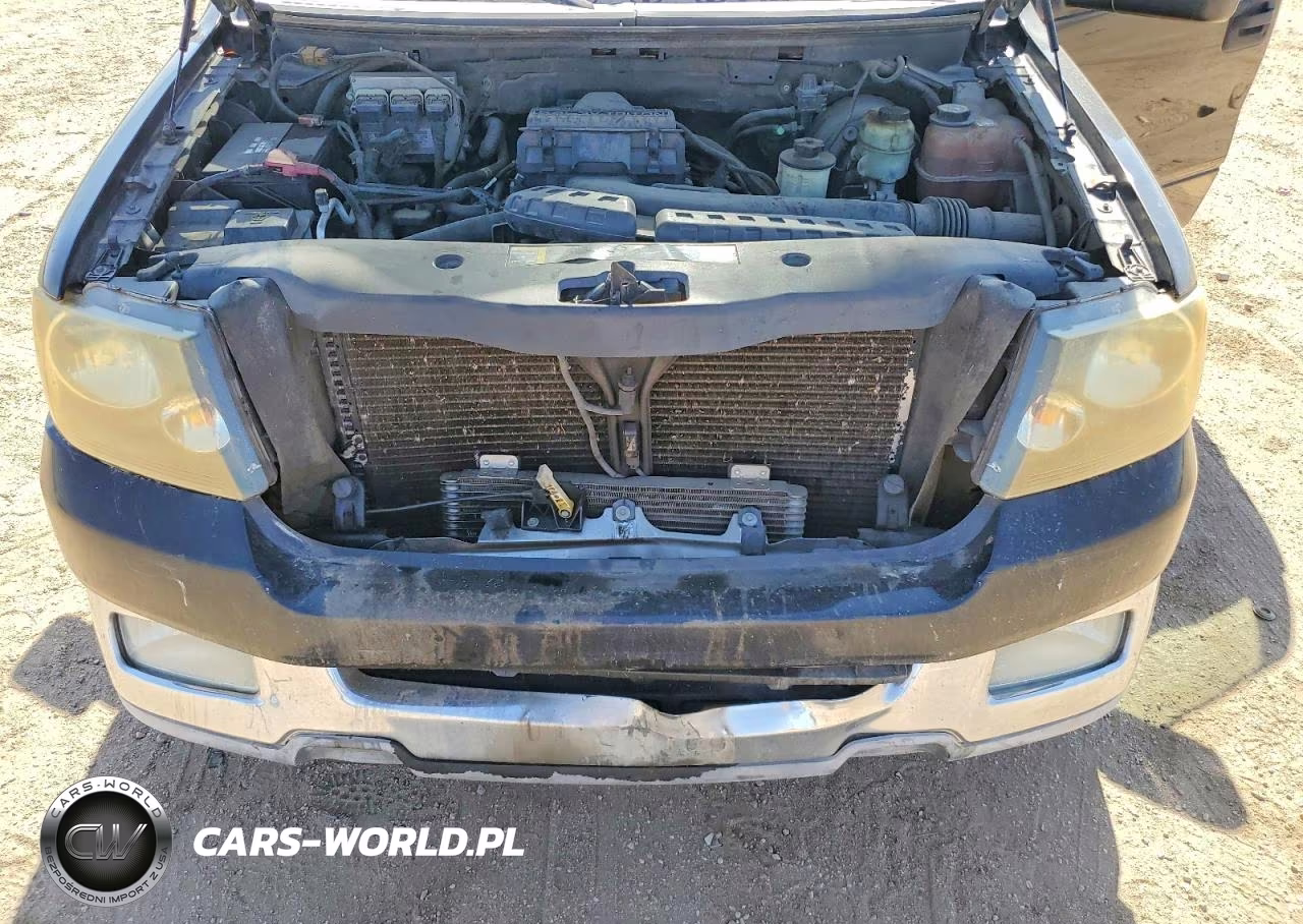 2004 Ford F150 Supercrew VIN:1FTPW12534KD81137 - 11