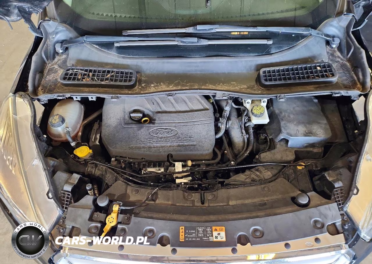 2017 Ford Escape Se VIN:1FMCU0GD3HUE64894 - 12