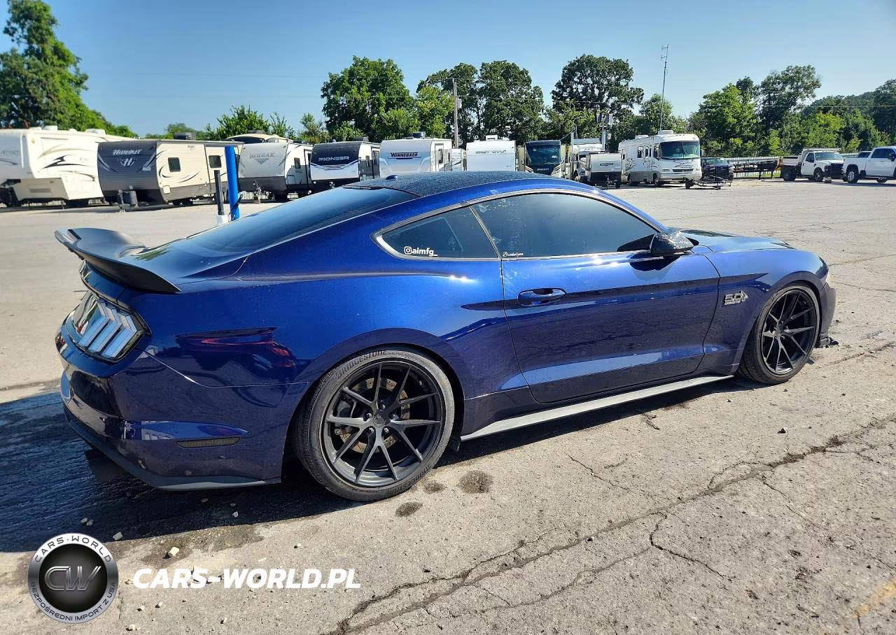 2019 Ford Mustang Gt VIN:1FA6P8CF4K5148314 - 3
