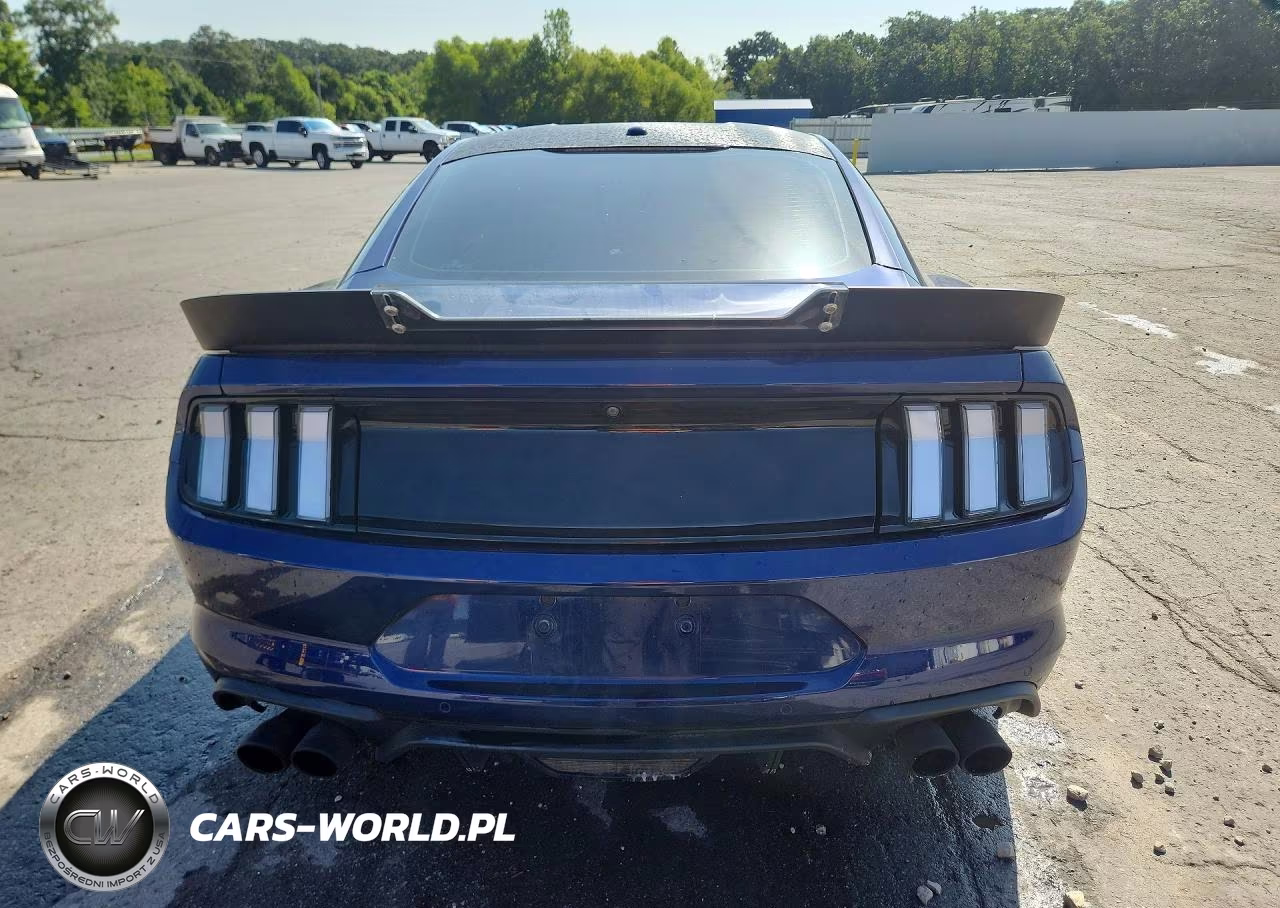 2019 Ford Mustang Gt VIN:1FA6P8CF4K5148314 - 6