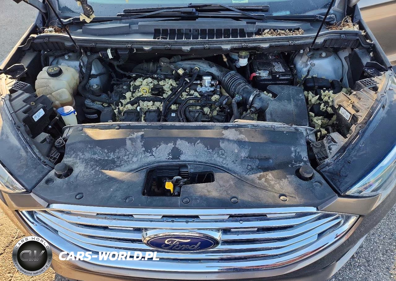 2019 Ford Edge Sel VIN:2FMPK4J97KBB57454 - 12