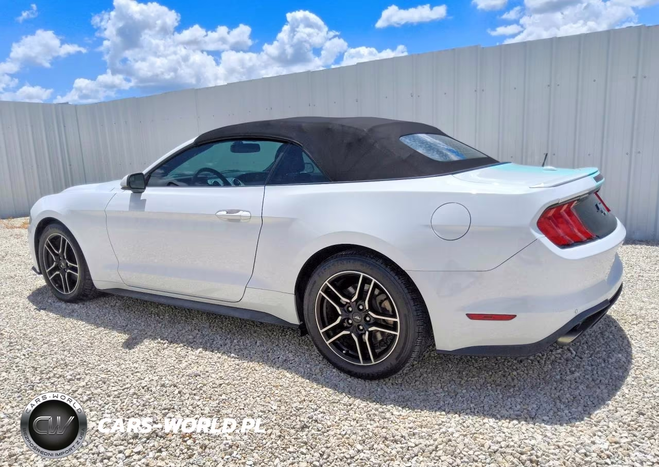 2020 Ford Mustang VIN:1FATP8UH0L5106047 - 2