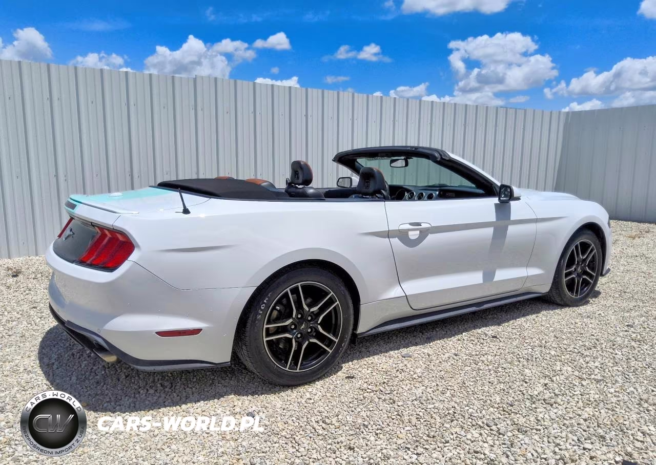 2020 Ford Mustang VIN:1FATP8UH0L5106047 - 3