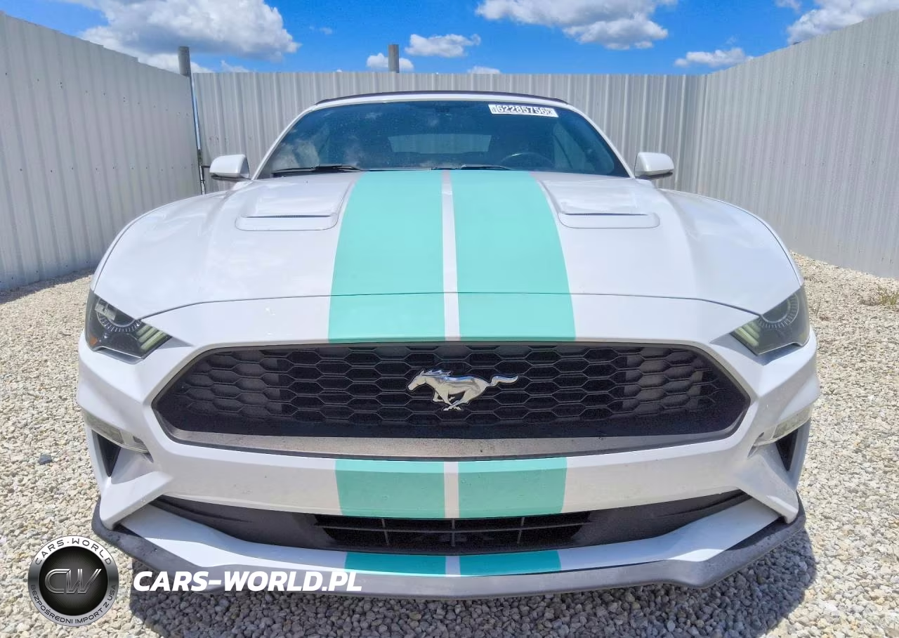 2020 Ford Mustang VIN:1FATP8UH0L5106047 - 5